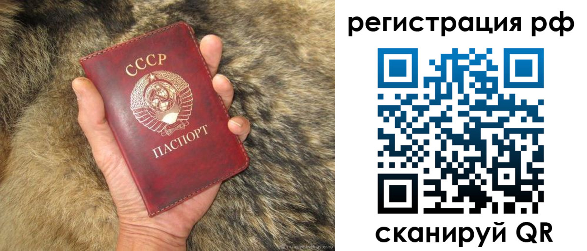 прописка для военкомата в Полярных Зорях